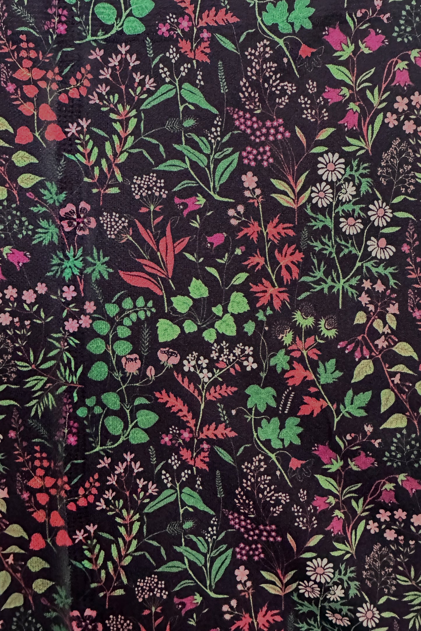 MARTINA - Collant KTI