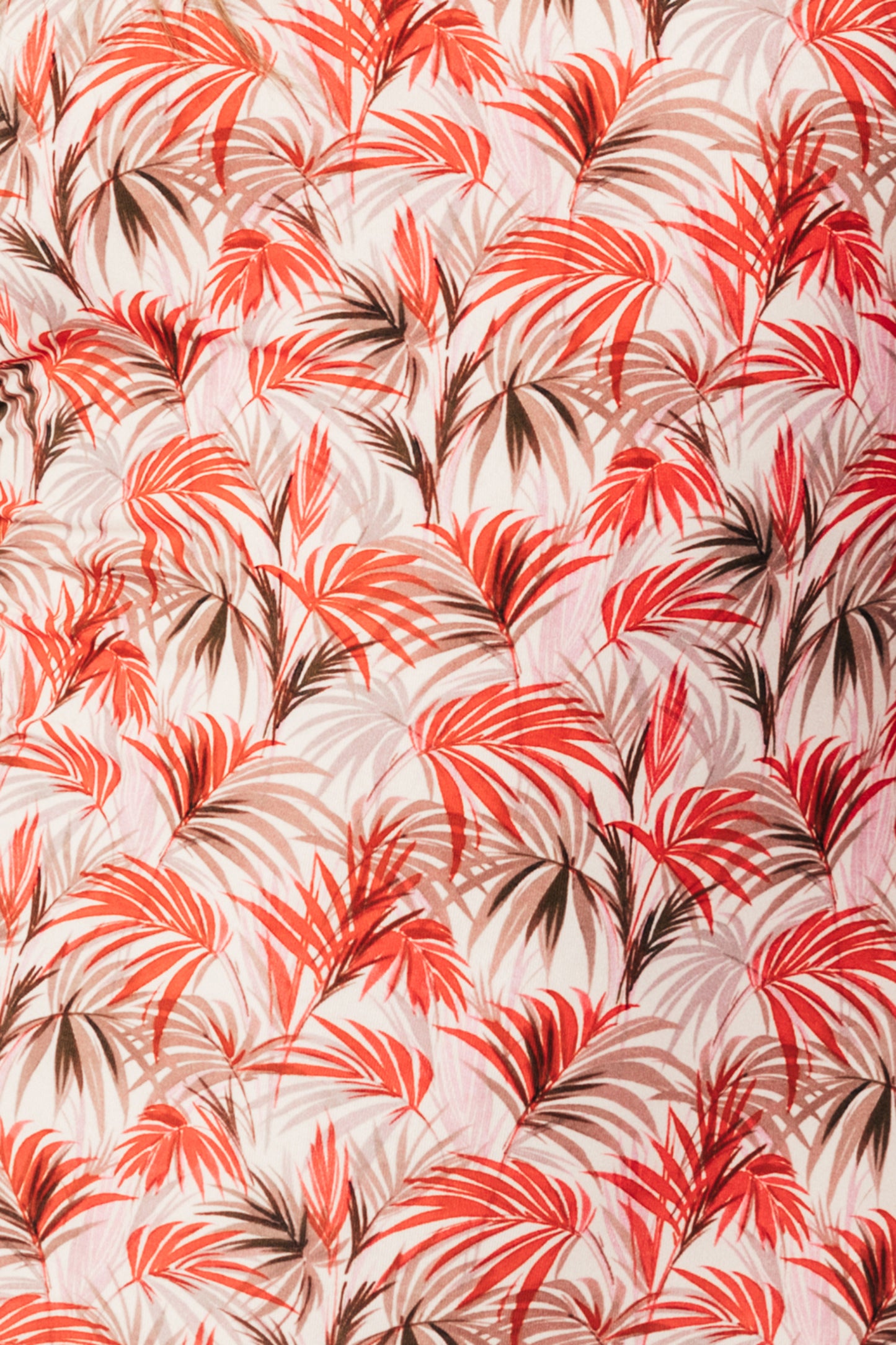 SANTA LUCIA - Intero foliage