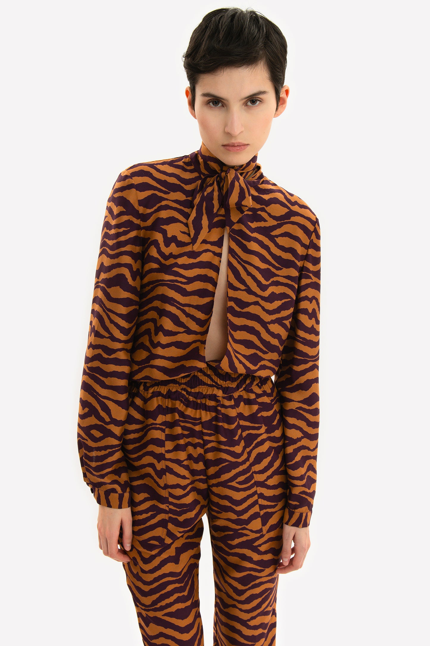 AVELINE - Blusa Zebra